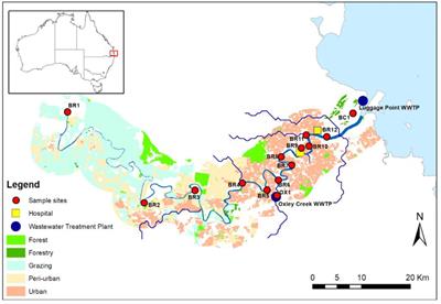 Antibiotic Resistance and Sewage-Associated Marker Genes in Untreated Sewage and a River Characterized During Baseflow and Stormflow